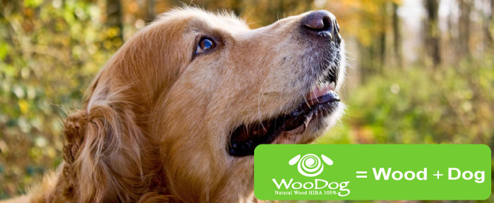 犬のための青森ヒバから生まれたウッドチップ・消臭ミスト・WooDog